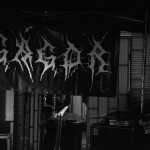 DSC_0249