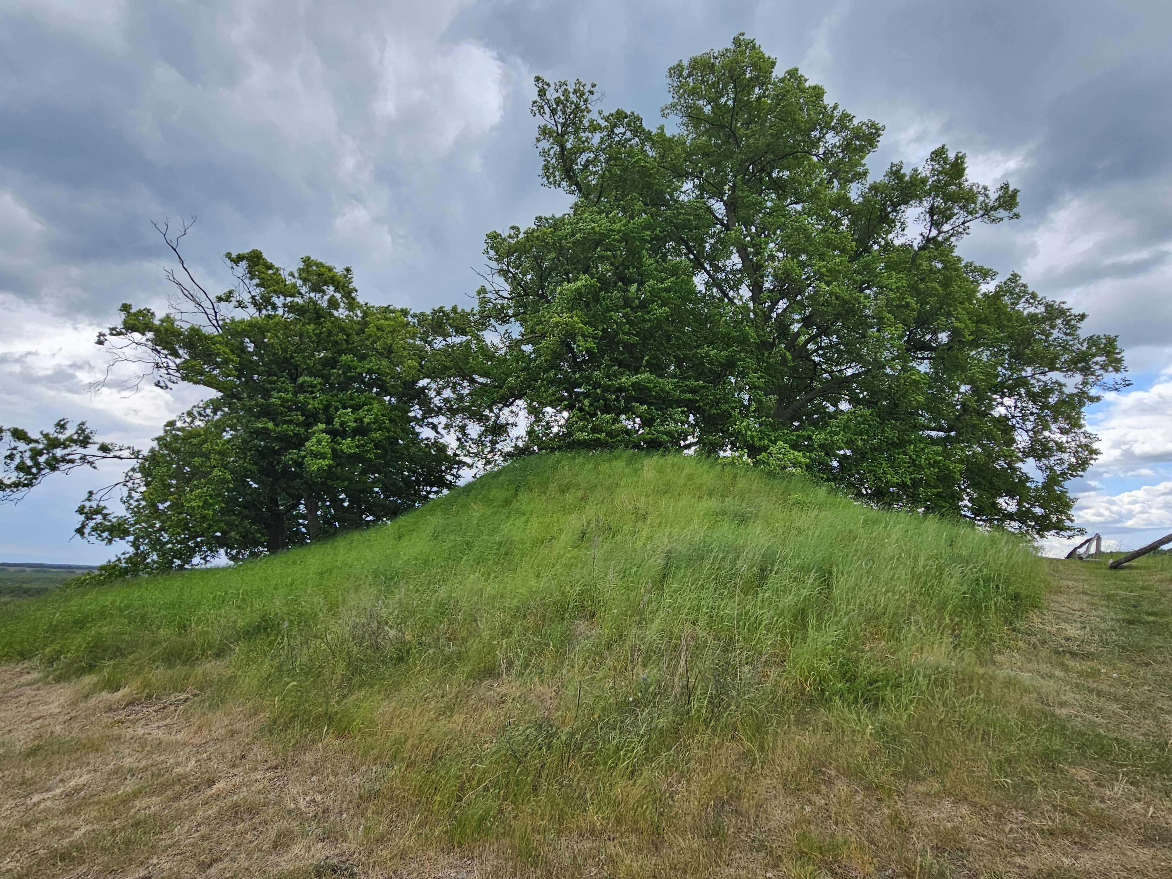 06.Wendenkonig_03
