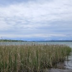 02.Tollensesee