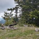 70163829_2410110622649693_4909094821295030272_n