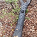 70590708_236622700604460_6041828686825521152_n